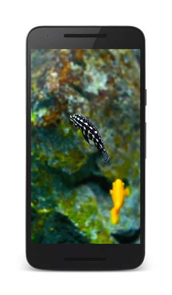 Aquarium 3D Live Wallpapers - Image screenshot of android app