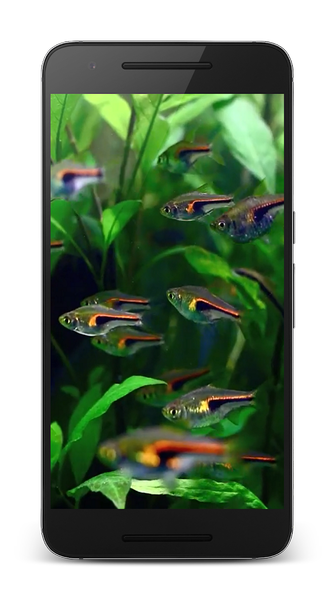 Aquarium 3D Live Wallpapers - Image screenshot of android app