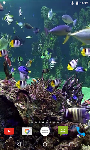 Aquarium 4K Video Wallpaper - عکس برنامه موبایلی اندروید