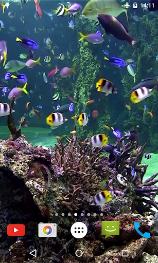 Aquarium 4K Video Wallpaper - عکس برنامه موبایلی اندروید