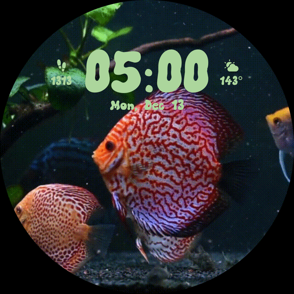 Aquarium Fish Live Watch Faces - عکس برنامه موبایلی اندروید