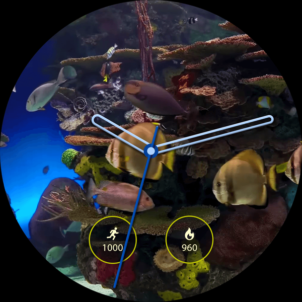 Aquarium Fish Live Watch Faces - عکس برنامه موبایلی اندروید