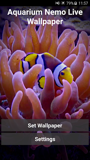 Aquarium Video Live Wallpaper - عکس برنامه موبایلی اندروید