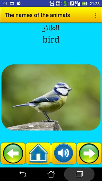 The names of the animals in Ar - عکس برنامه موبایلی اندروید
