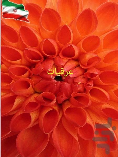 عرقیات - عکس برنامه موبایلی اندروید