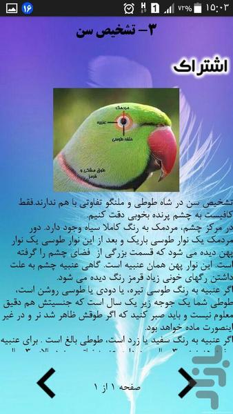 پرورش و نگهداری طوطی - عکس برنامه موبایلی اندروید