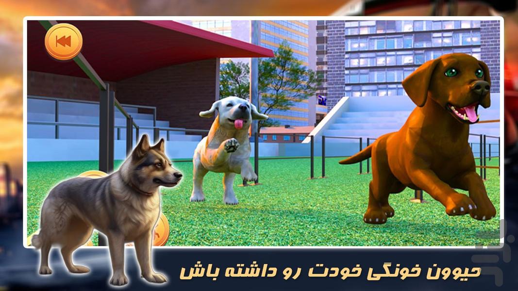 بازی مراقبت از حیوانات | سگ | گربه - Gameplay image of android game