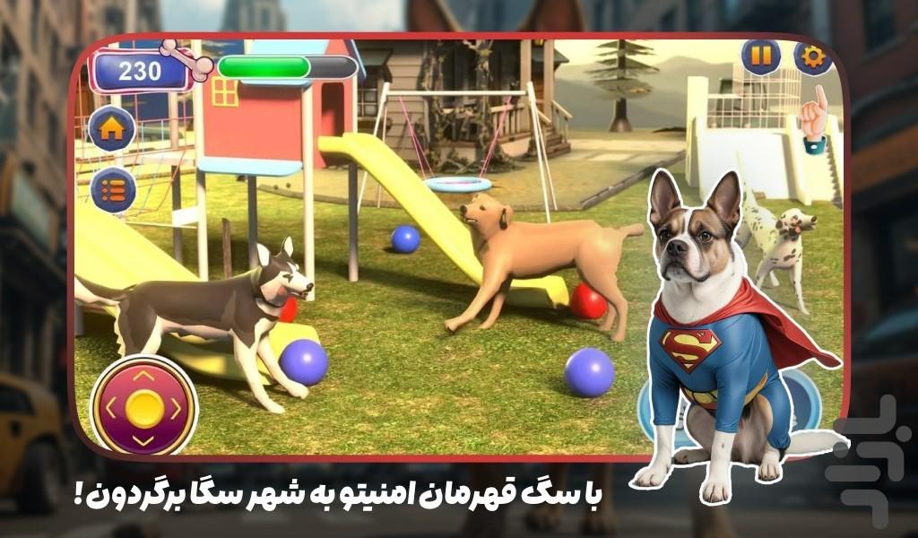 سگ بازی - عکس بازی موبایلی اندروید