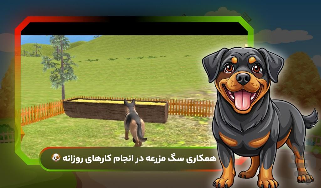 بازی گرگ - Gameplay image of android game