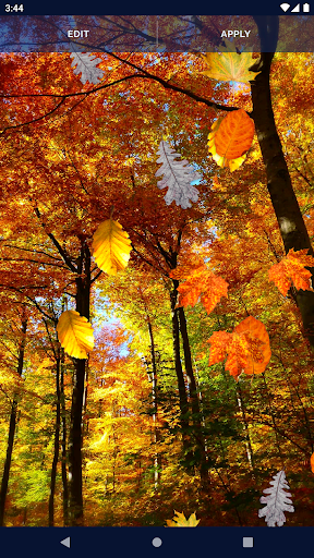 Autumn Leaves Live Wallpaper - Image screenshot of android app