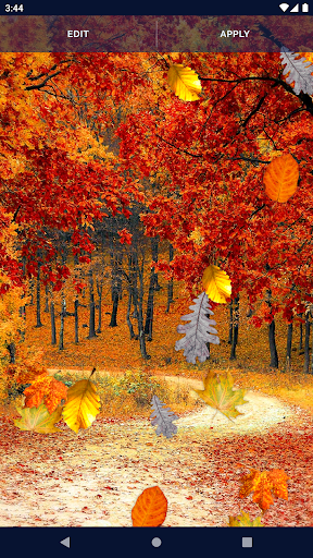 Autumn Leaves Live Wallpaper - Image screenshot of android app