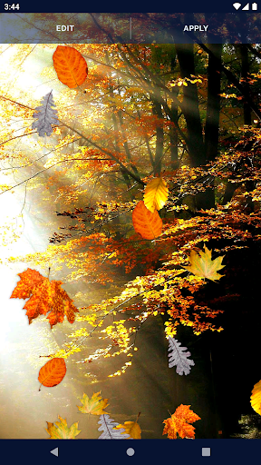 Autumn Leaves Live Wallpaper - Image screenshot of android app