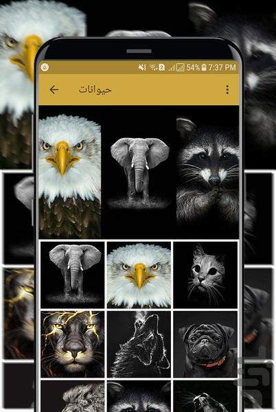 Dark Wallpapers - Image screenshot of android app