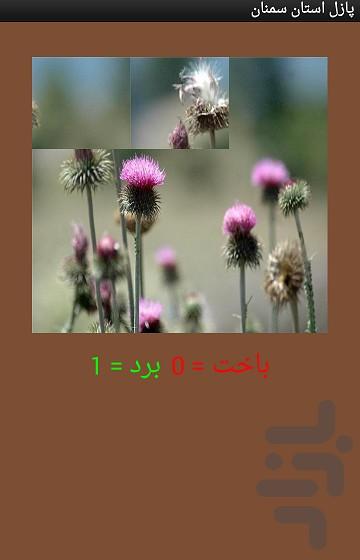 پازل سمنان - عکس برنامه موبایلی اندروید