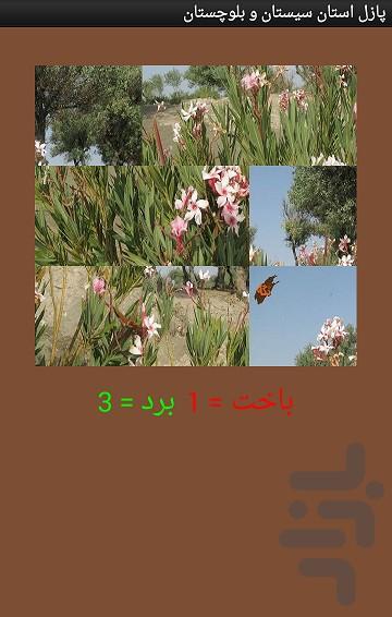 پازل استان سیستان و بلوچستان - عکس برنامه موبایلی اندروید