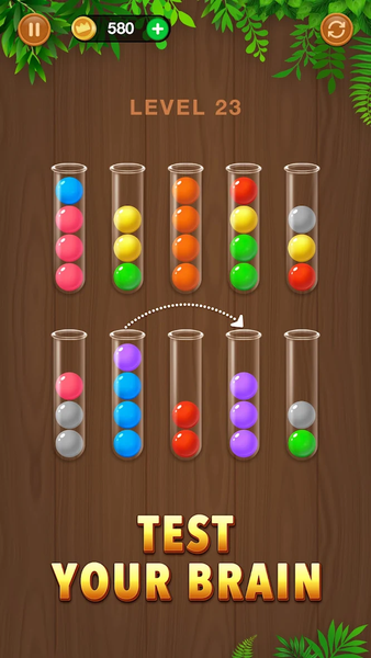 Wooden Ball Sort - Puzzle Game - Gameplay image of android game