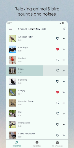 Bird and Animal sounds - Image screenshot of android app