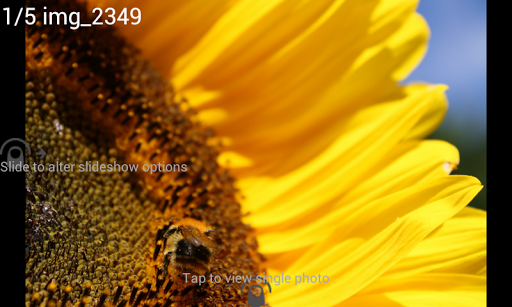 Digital Photo Frame Slideshow - Image screenshot of android app