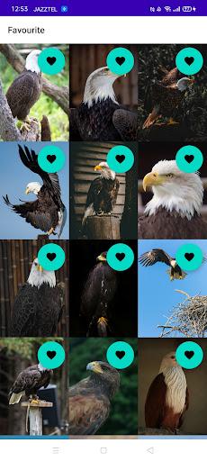 Eagle Wallpaper HD - عکس برنامه موبایلی اندروید