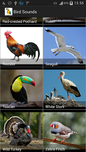 Bird Sounds - عکس برنامه موبایلی اندروید
