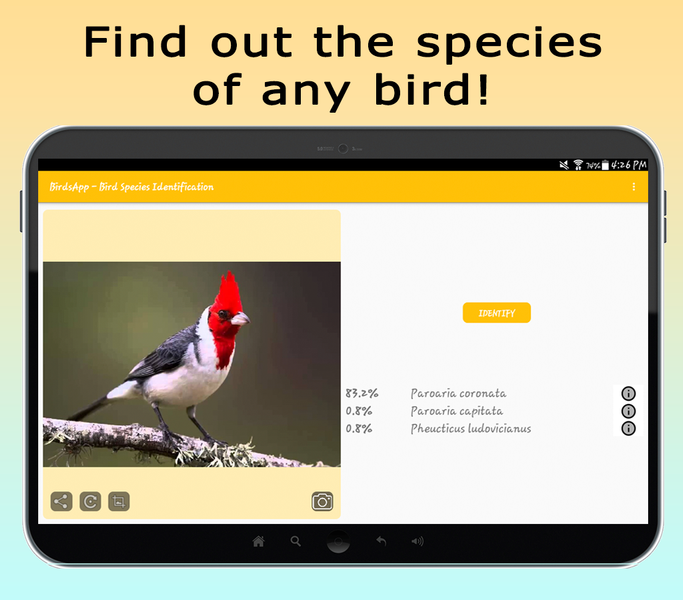 BirdsID - Identify Birds - عکس برنامه موبایلی اندروید
