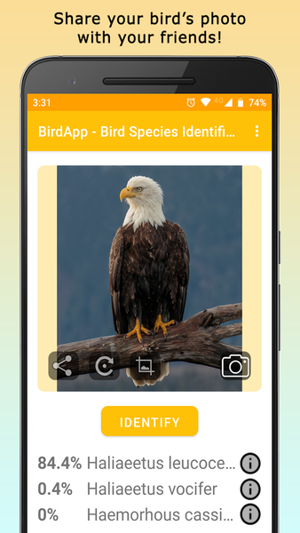 BirdsID - Identify Birds - عکس برنامه موبایلی اندروید