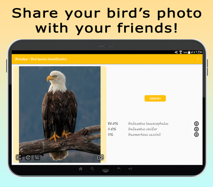 BirdsID - Identify Birds - عکس برنامه موبایلی اندروید