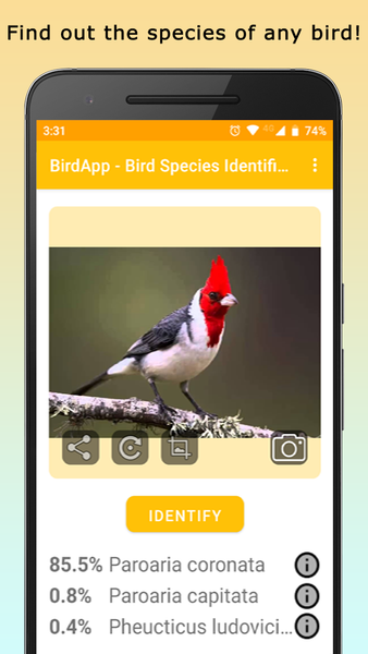 BirdsID - Identify Birds - عکس برنامه موبایلی اندروید