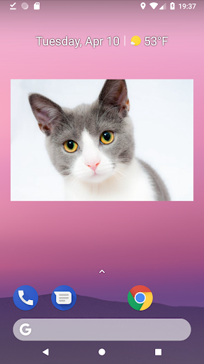Photo widget - عکس برنامه موبایلی اندروید
