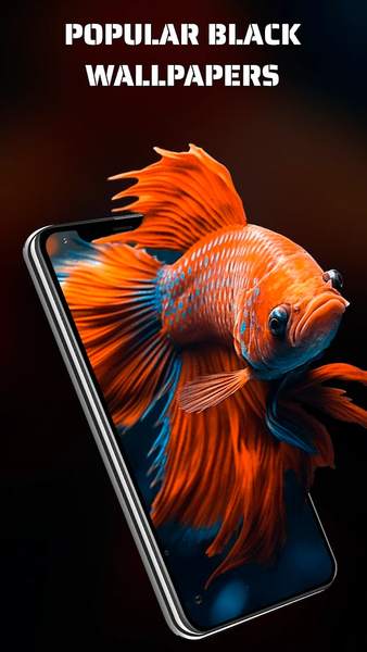 Wallpapers Black Live ۴K HD - عکس برنامه موبایلی اندروید