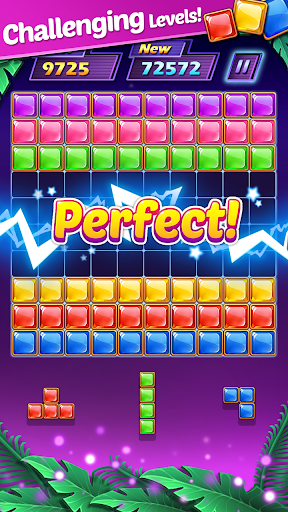 Block Puzzle - Gameplay image of android game