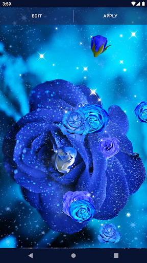 Blue Rose Live Wallpaper 3D - Image screenshot of android app