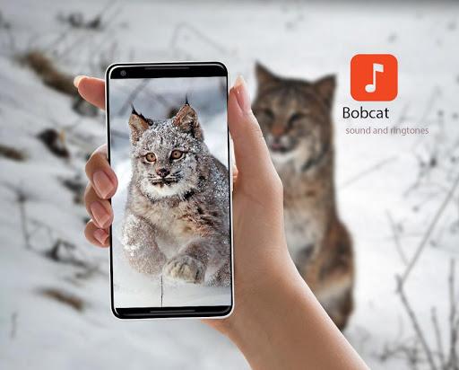 Bobcat Sound Effects - عکس برنامه موبایلی اندروید