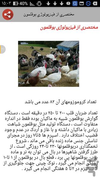 پرورش بوقلمون - عکس برنامه موبایلی اندروید