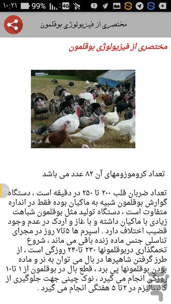 پرورش بوقلمون - عکس برنامه موبایلی اندروید