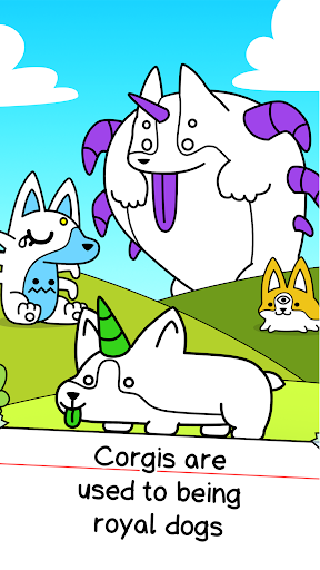 Corgi Evolution: Shiba Dogs - Gameplay image of android game
