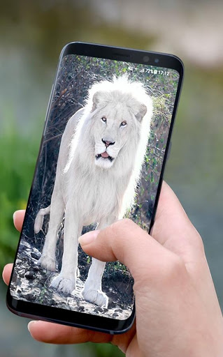 white lion wallpaper 3d