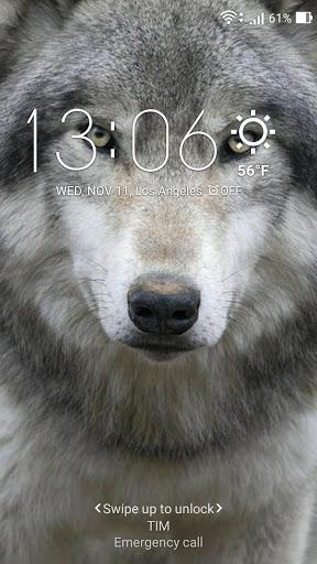 Wolf Wallpaper - عکس برنامه موبایلی اندروید