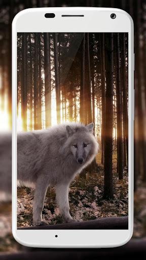 Wolf Wallpaper - عکس برنامه موبایلی اندروید