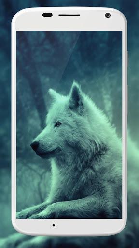 Wolf Wallpaper - عکس برنامه موبایلی اندروید