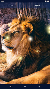 برنامه Brave Lion Live Wallpaper دانلود کافه بازار