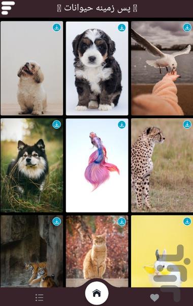 پس زمینه حیوانات - عکس برنامه موبایلی اندروید