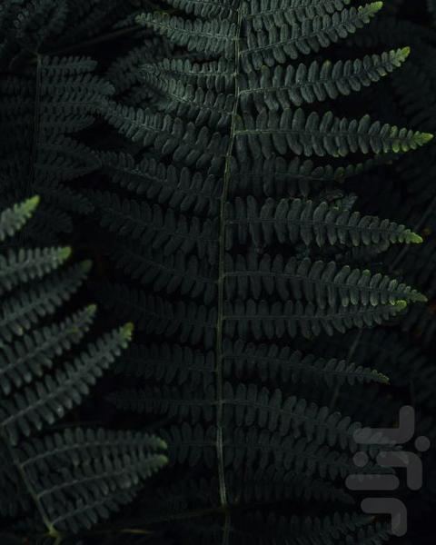 پس زمینه مشکی - عکس برنامه موبایلی اندروید