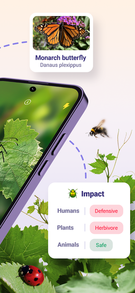 Bug ID - Insect Identifier - عکس برنامه موبایلی اندروید