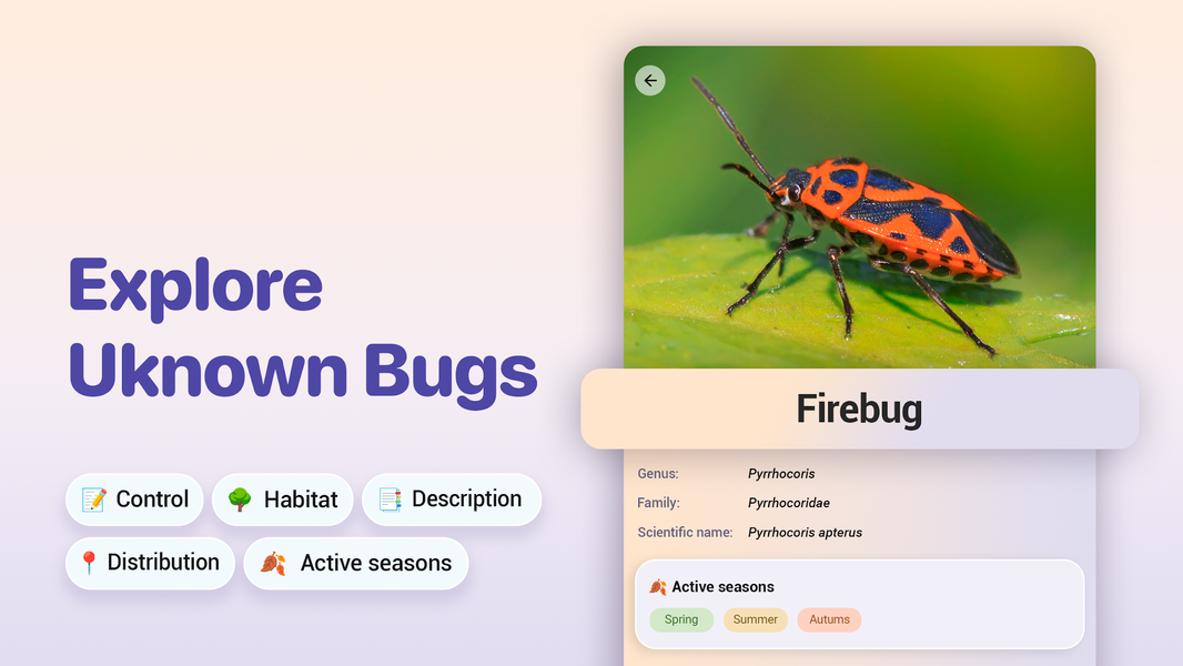 Bug ID - Insect Identifier - Image screenshot of android app