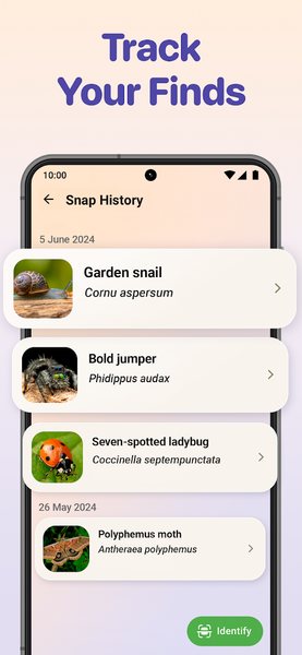 Bug ID - Insect Identifier - Image screenshot of android app