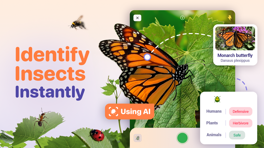 Bug ID - Insect Identifier - Image screenshot of android app