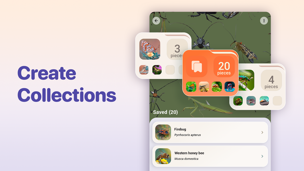 Bug ID - Insect Identifier - Image screenshot of android app