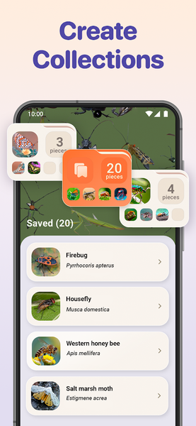 Bug ID - Insect Identifier - Image screenshot of android app