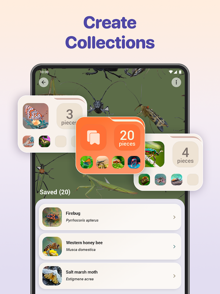 Bug ID - Insect Identifier - Image screenshot of android app